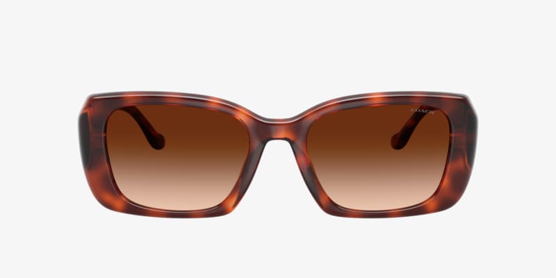 Coach HC8389U CL917 Sunglasses | LensCrafters