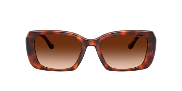 Coach HC8435U CBY82 Sunglasses | LensCrafters