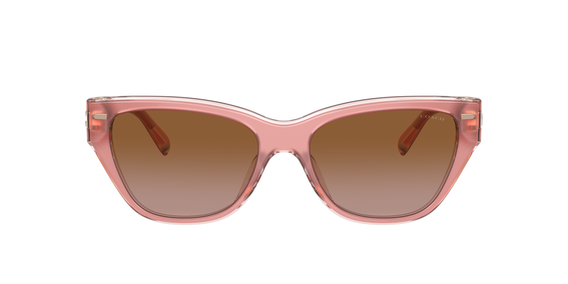 su680 COACH コーチ ケイディ ペール ブラッシュ サンレイダイヤル Coach HC8370U CH570 Sunglasses | LensCrafters