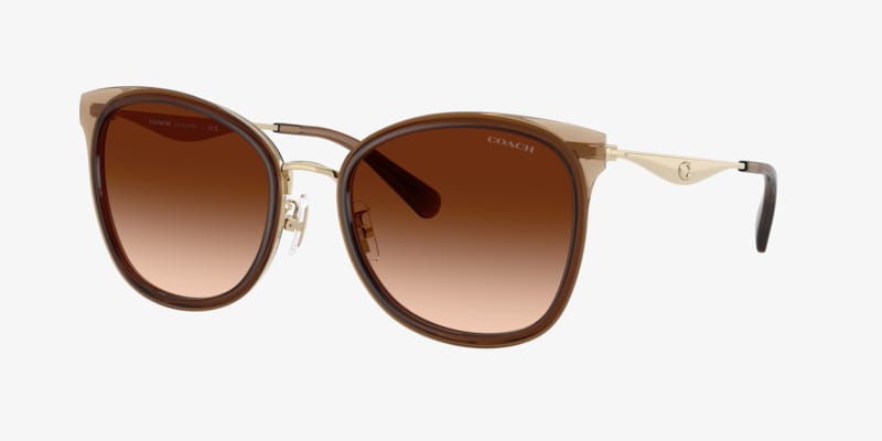 Coach HC8315 C3445 Sunglasses | LensCrafters