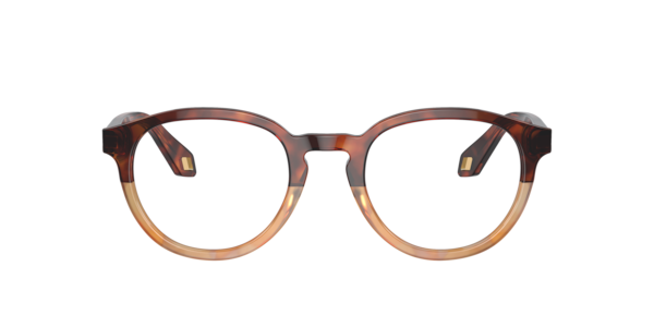 Giorgio Armani Men's Eyeglasses, AR7248 - Red Havana, Honey Havana