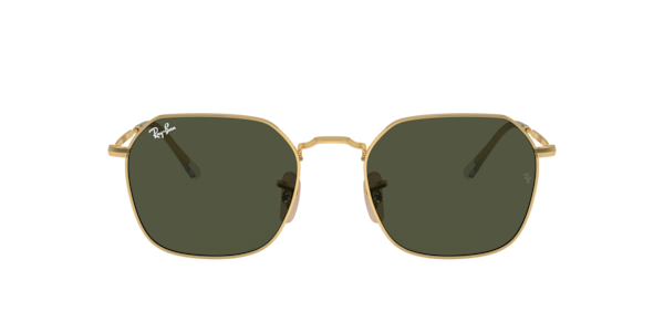 Ray-Ban ORB3694 サングラス ガンメタル ウィメンズ レイバン ジム