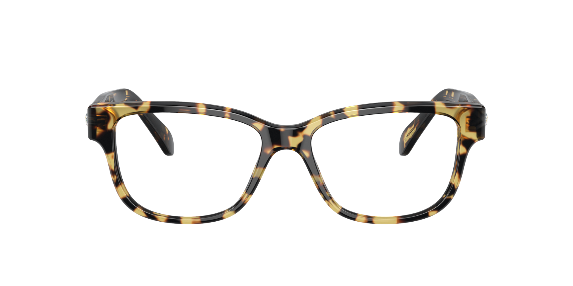 Swarovski Woman  Havana Clear