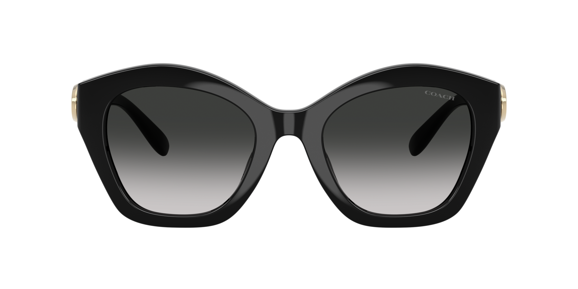 Coach HC8421U CAD31 Sunglasses | LensCrafters