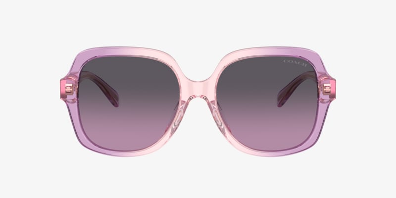 Coach HC8320 C6180 Sunglasses | LensCrafters
