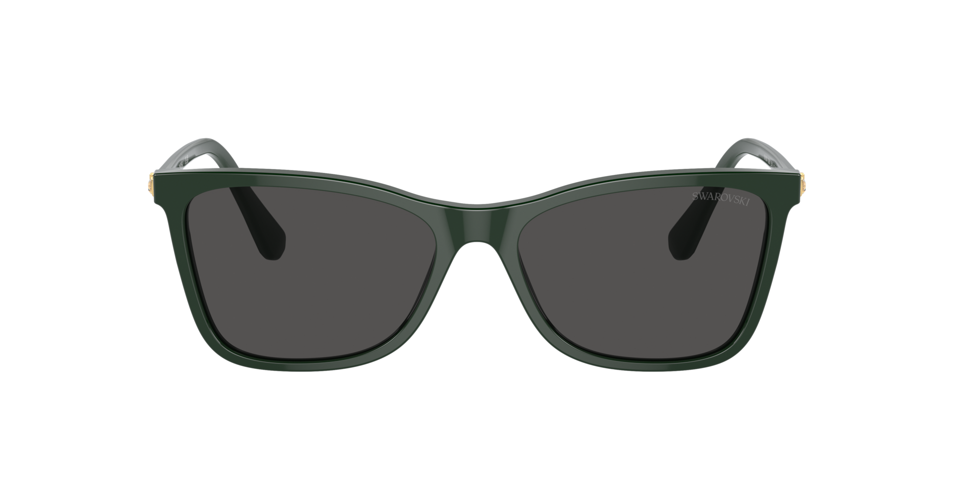SK6004