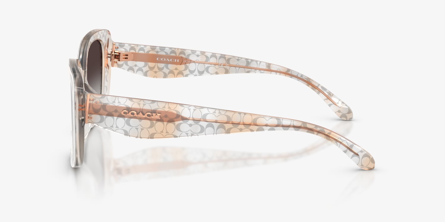 coachサングラス Coach HC8450U CDP48 Sunglasses | LensCrafters