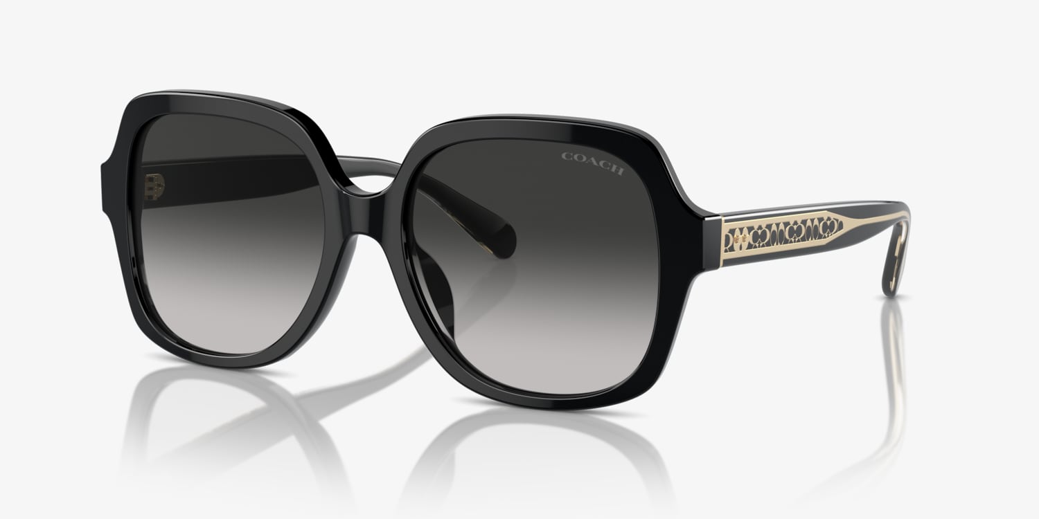Coach HC8395U CR614 Sunglasses | LensCrafters