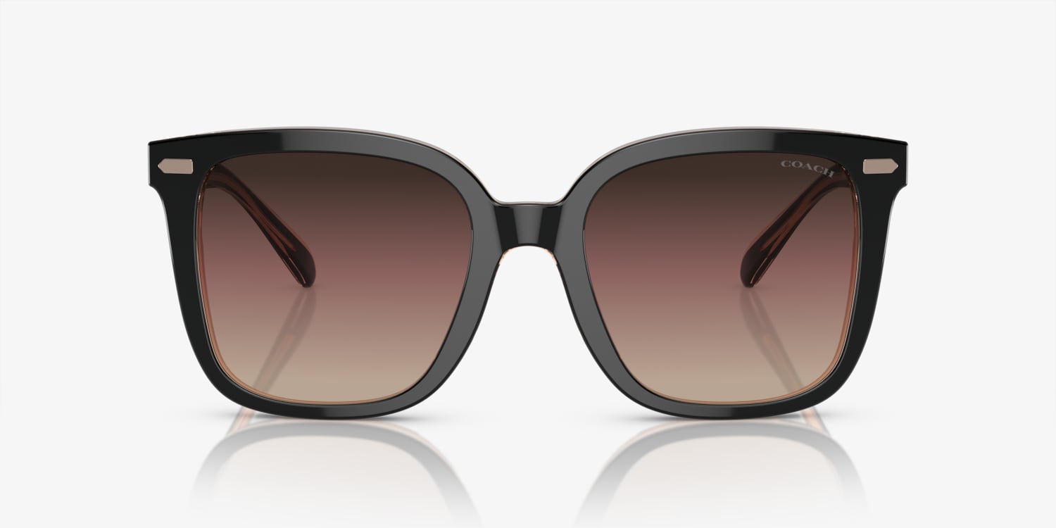 Coach HC8381U CL918 Sunglasses | LensCrafters