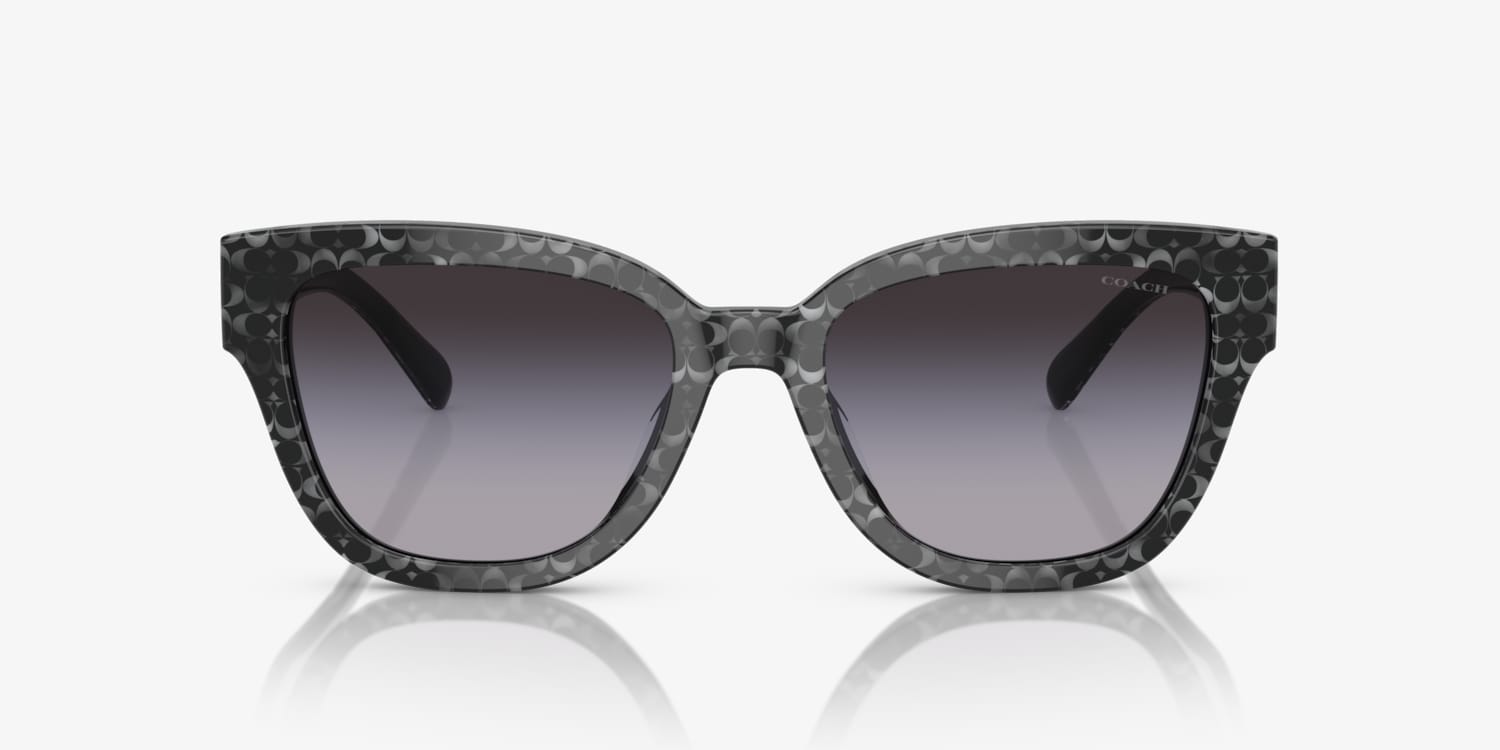 Coach HC8379U CL920 Sunglasses | LensCrafters