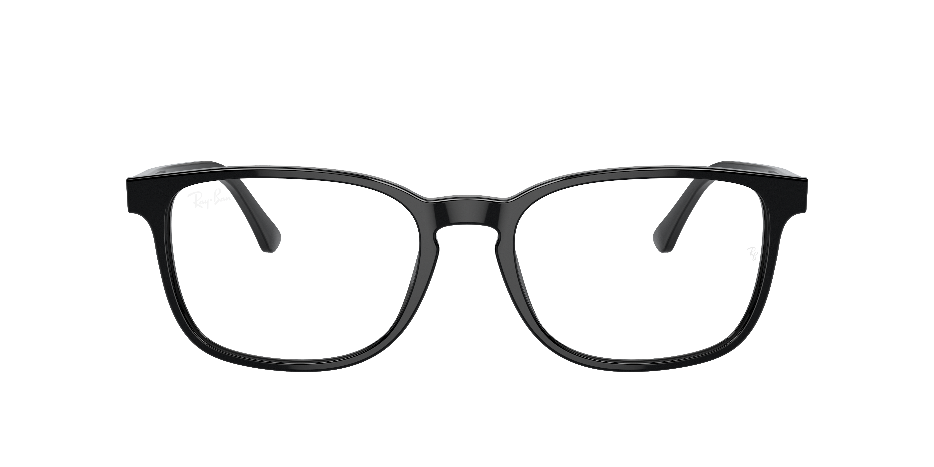 RB5418 Optics