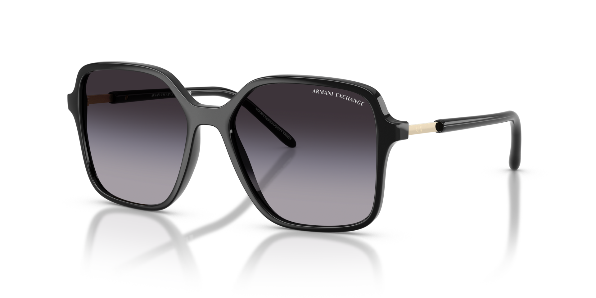 AX4163S