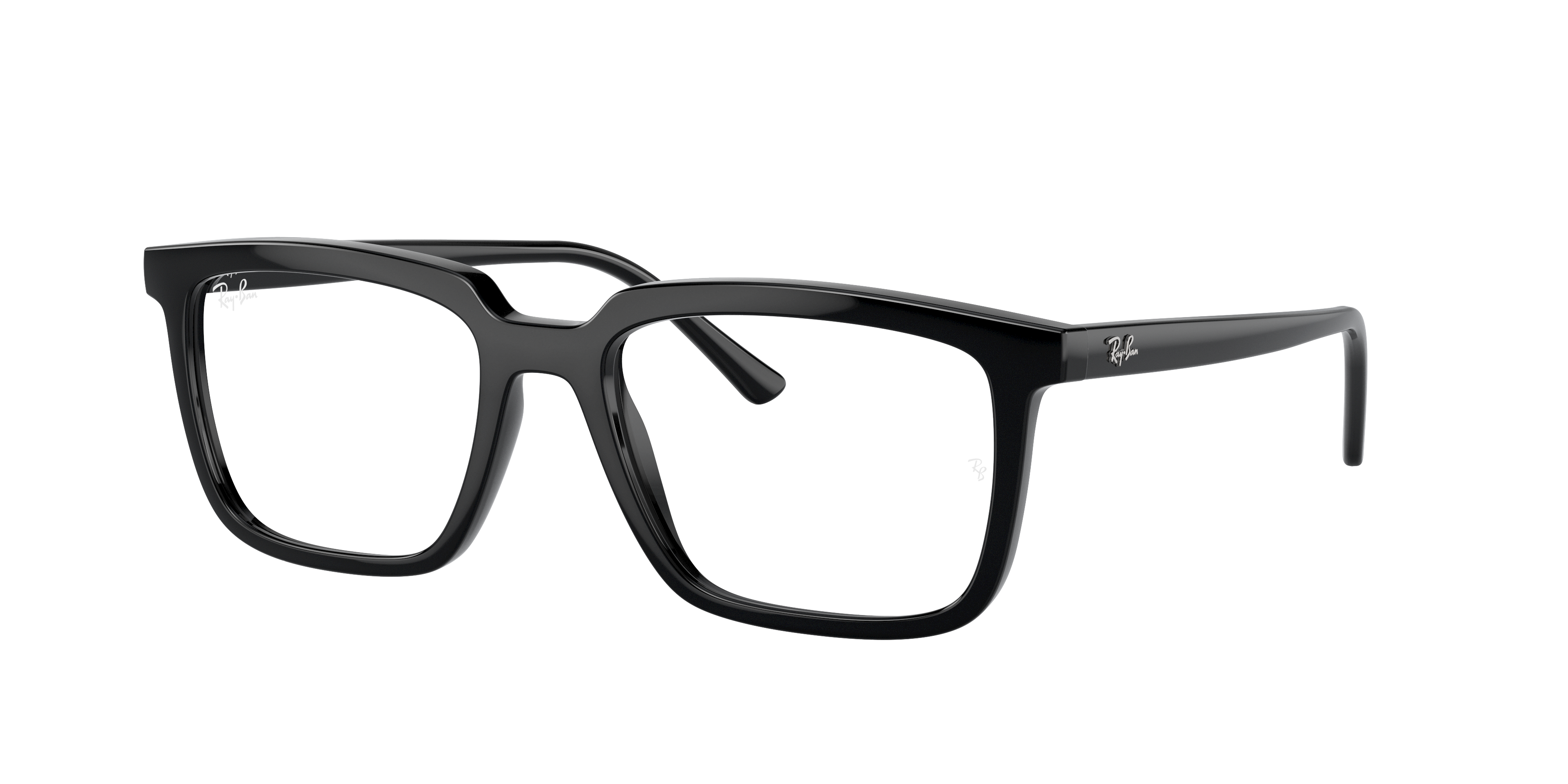 RB7239 Alain Optics