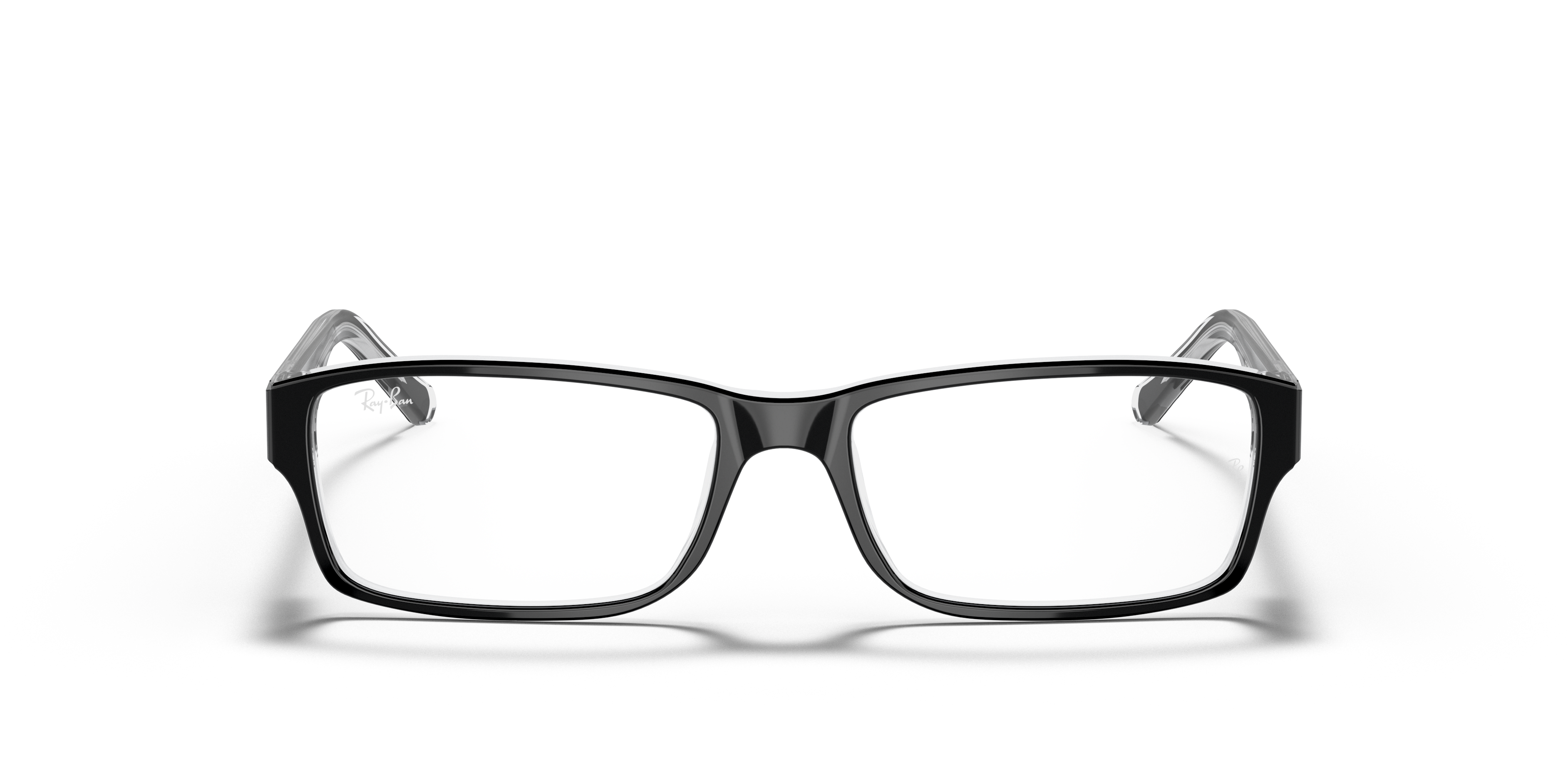 RB5169 Optics