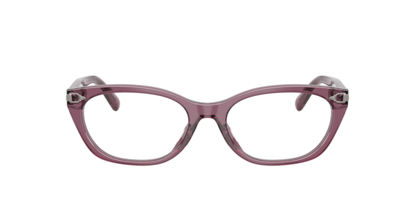 Ralph Lauren Women's Eyeglasses, RL6268U - Transparent Purple