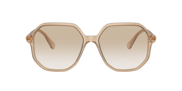 Swarovski SK6003 Sunglasses | LensCrafters