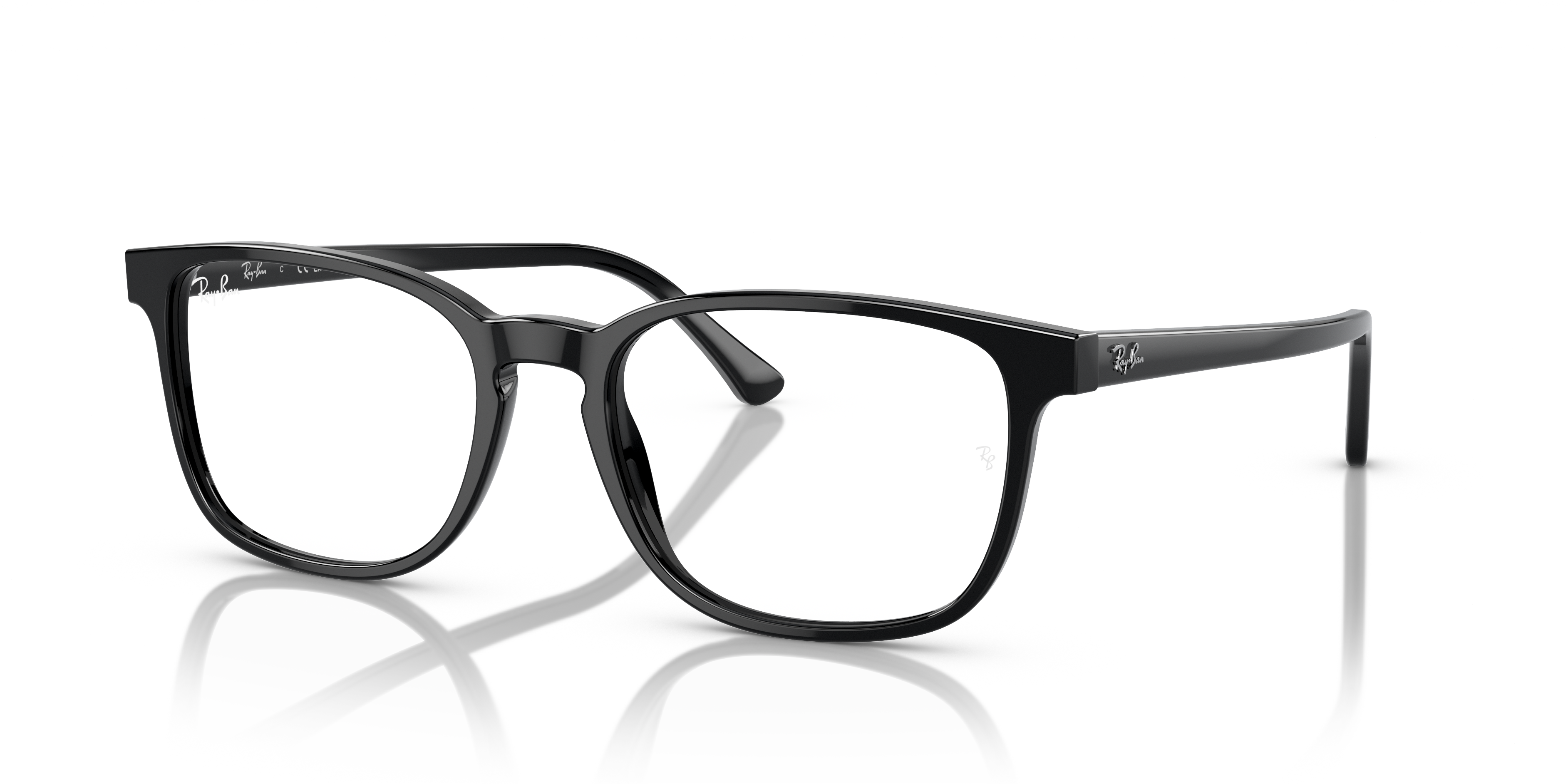 RB5418 Optics