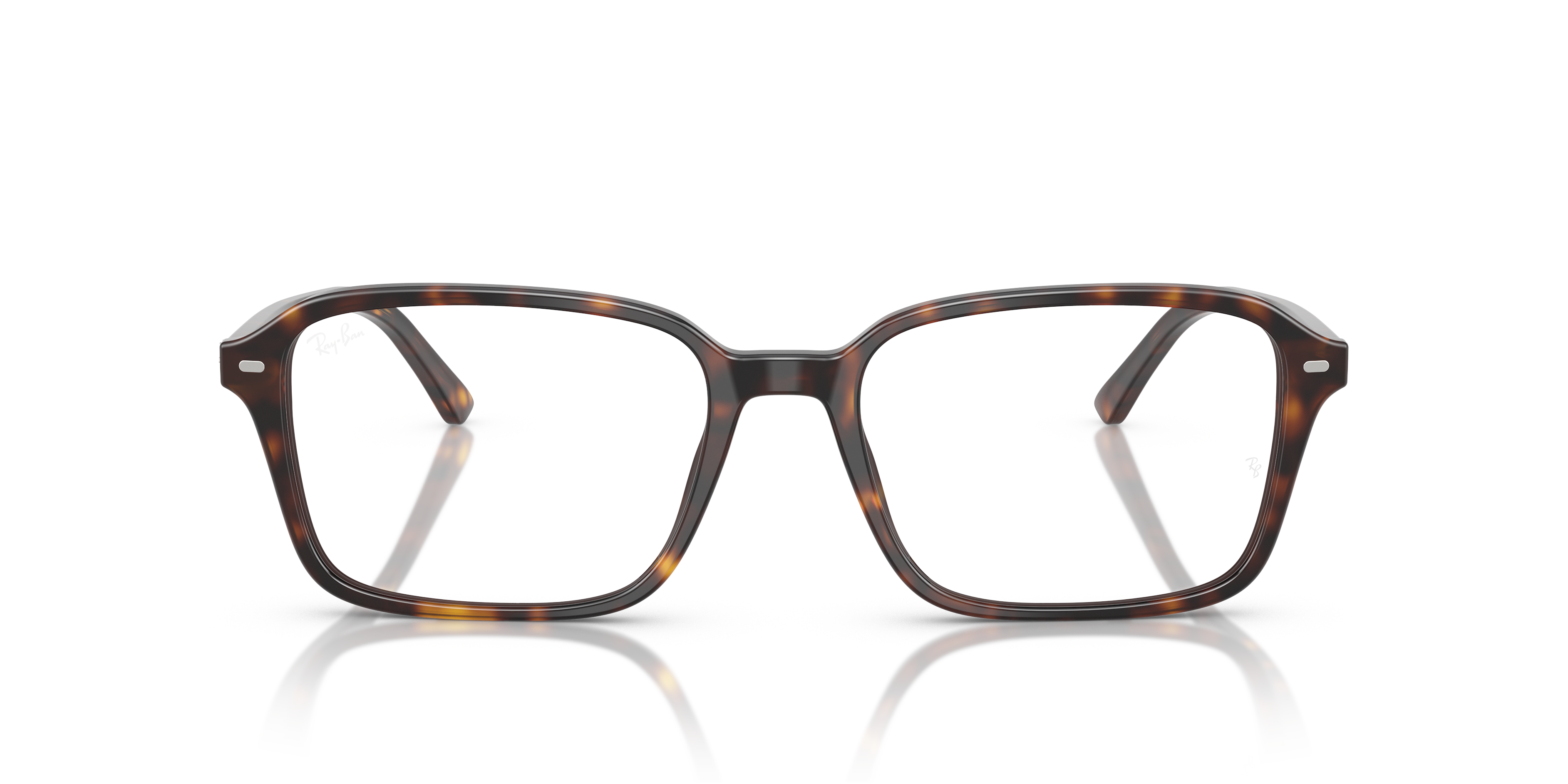 RB5431F Raimond Optics