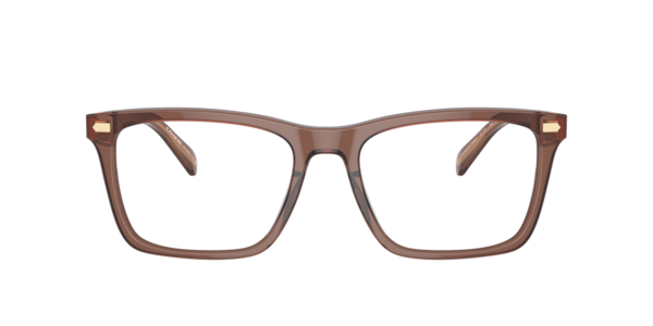 Coach Man  Transparent Pecan
