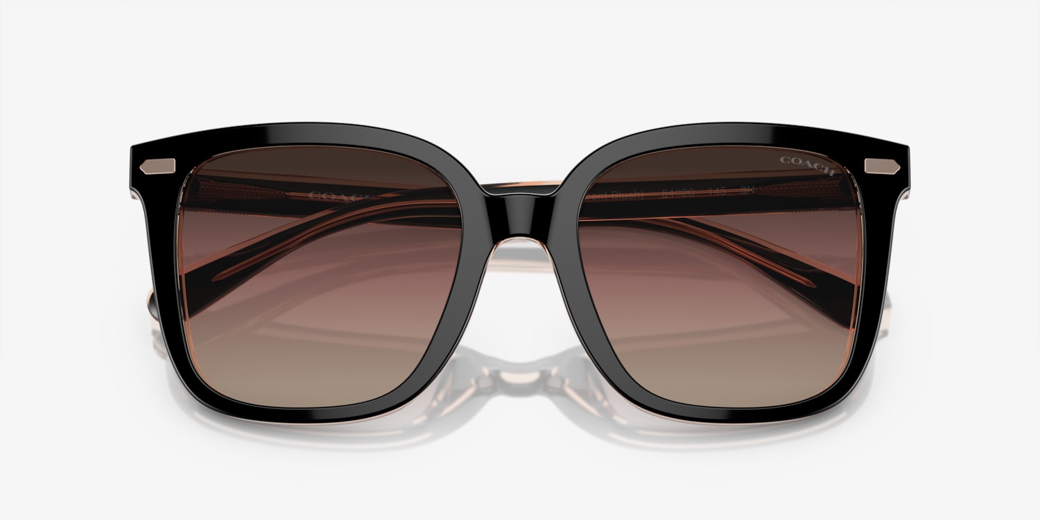 Coach HC8381U CL918 Sunglasses | LensCrafters