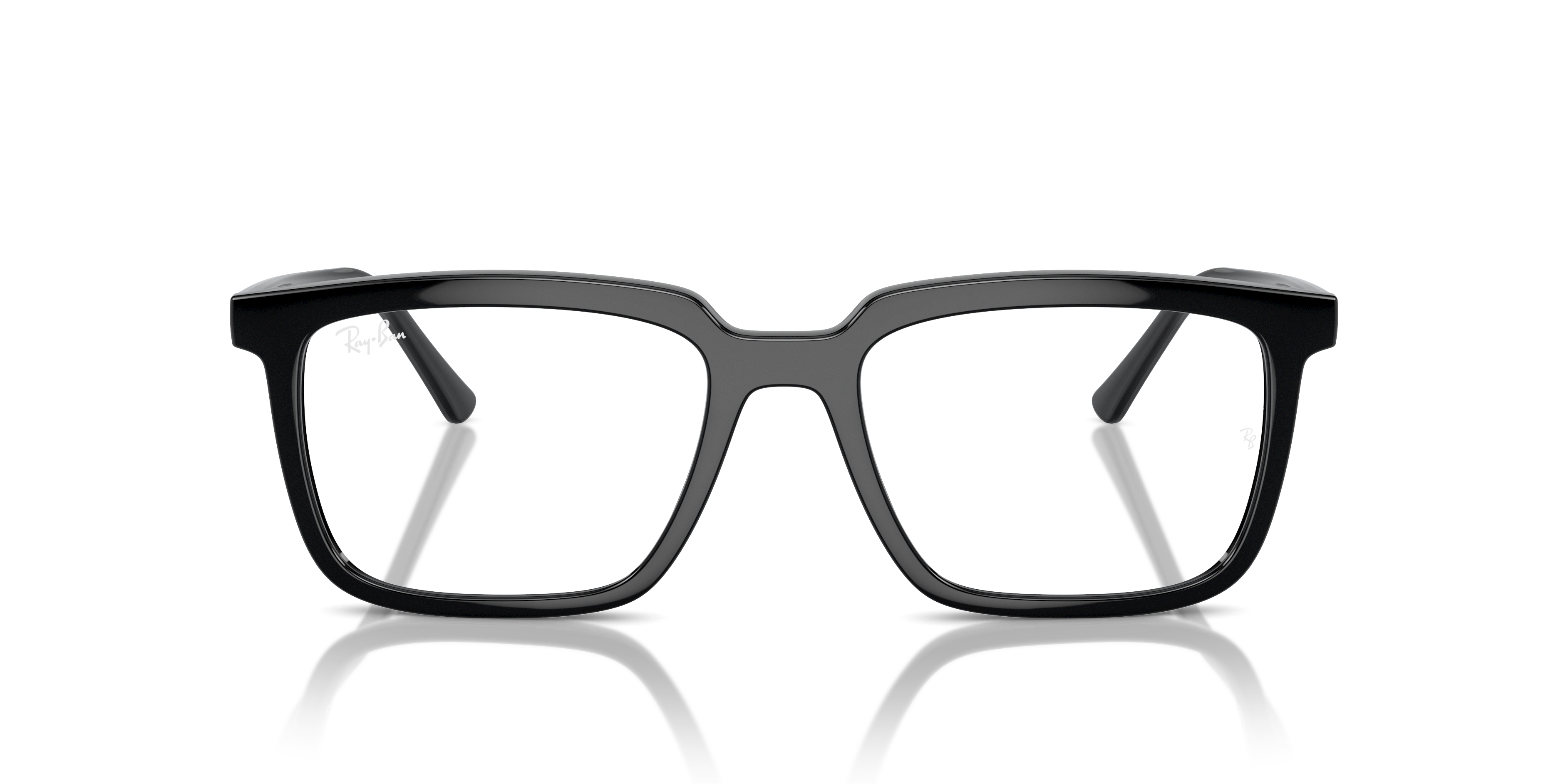 RB7239 Alain Optics
