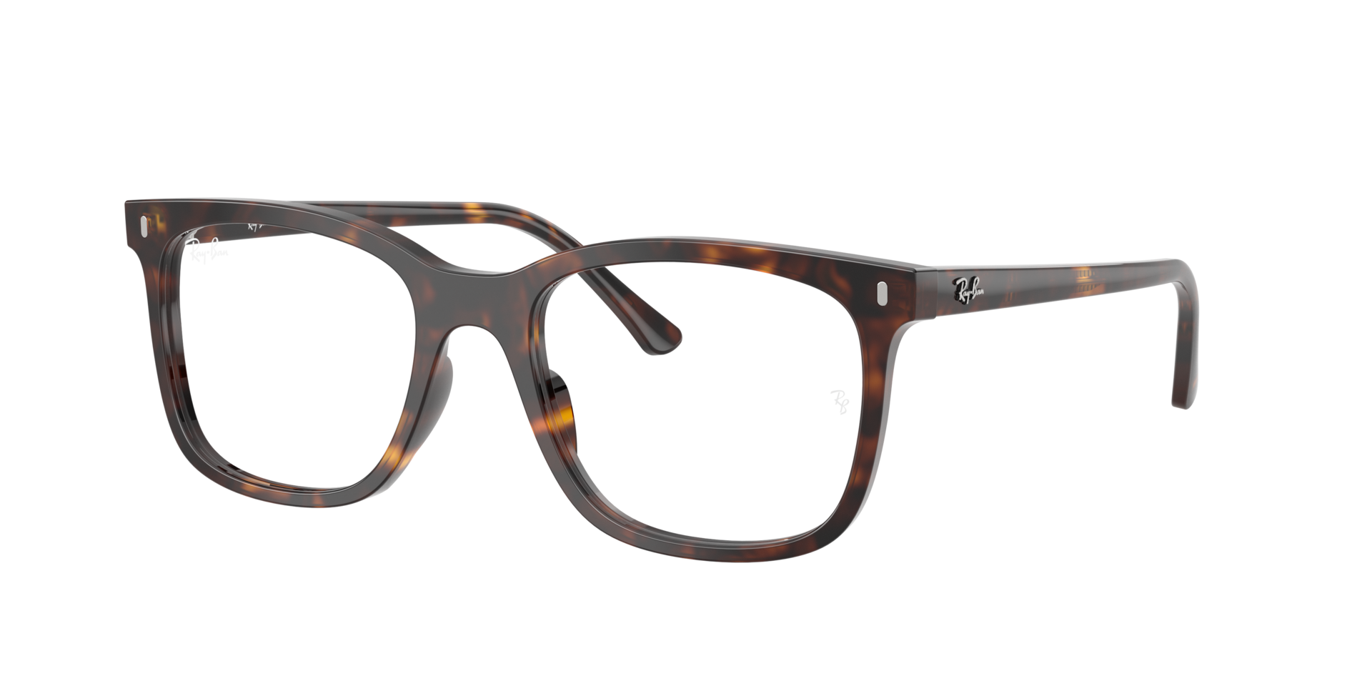 RB5446 Optics