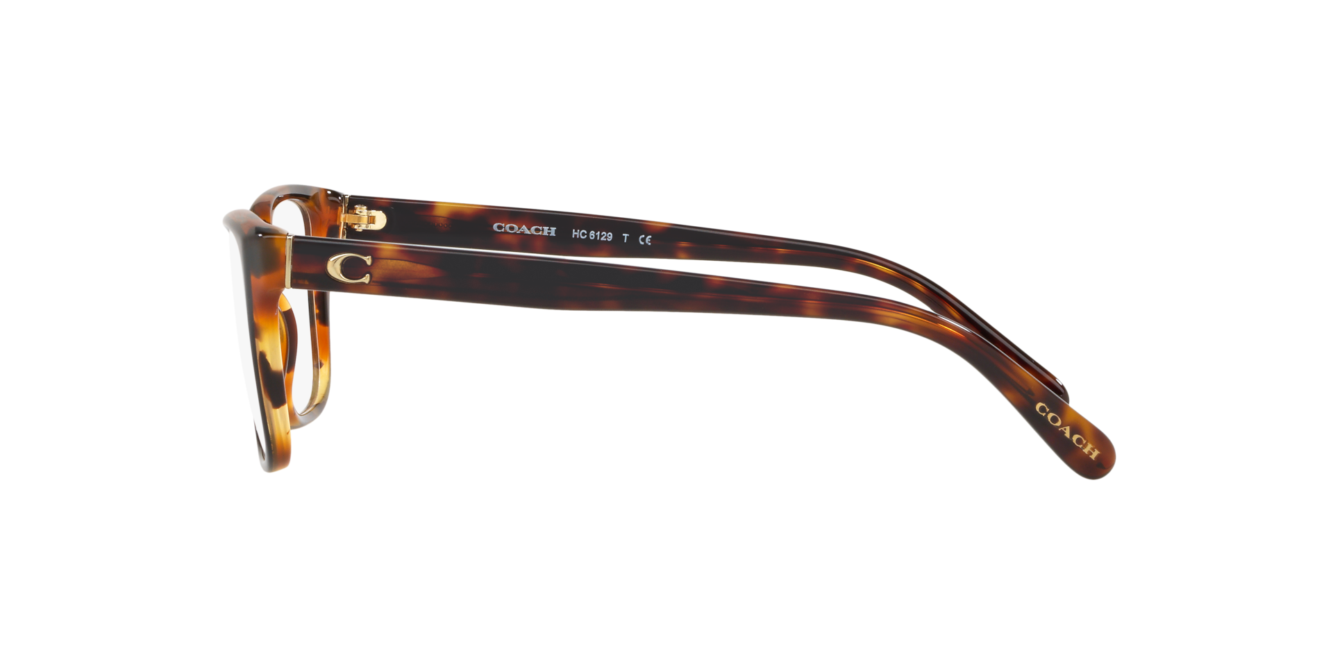Coach HC6129 Eyeglasses | LensCrafters