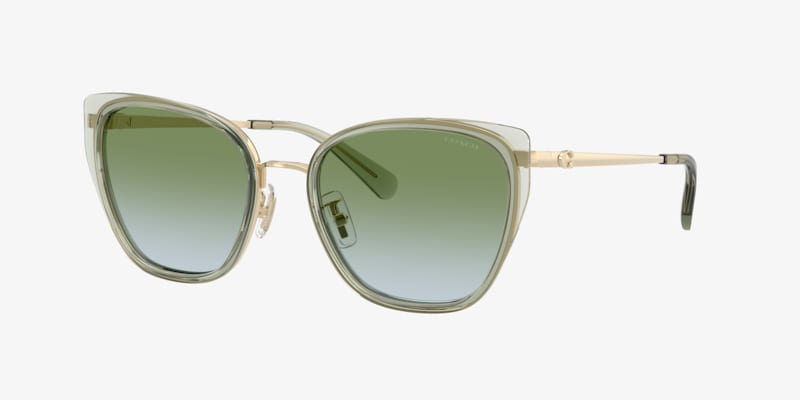 Coach HC7064 L151 Sunglasses | LensCrafters