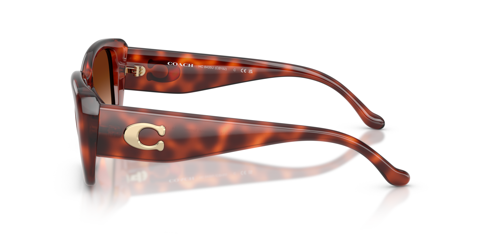 Coach HC8435U CBY82 Sunglasses | LensCrafters
