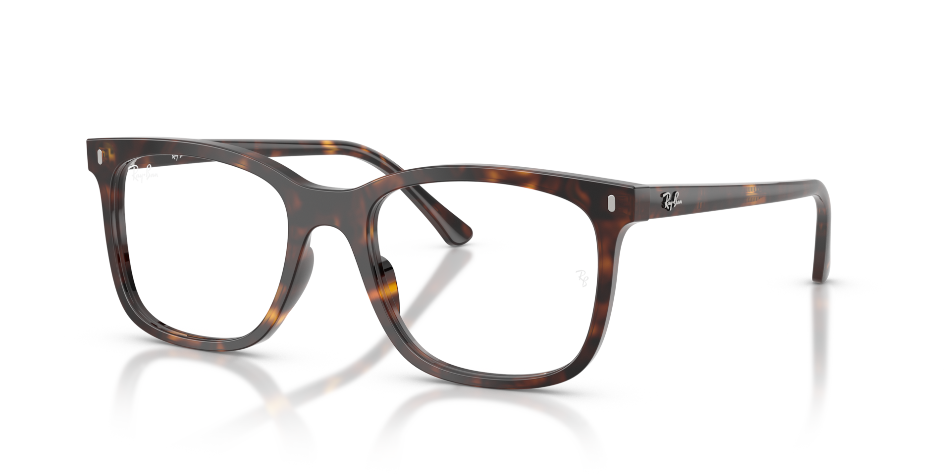 RB5446 Optics