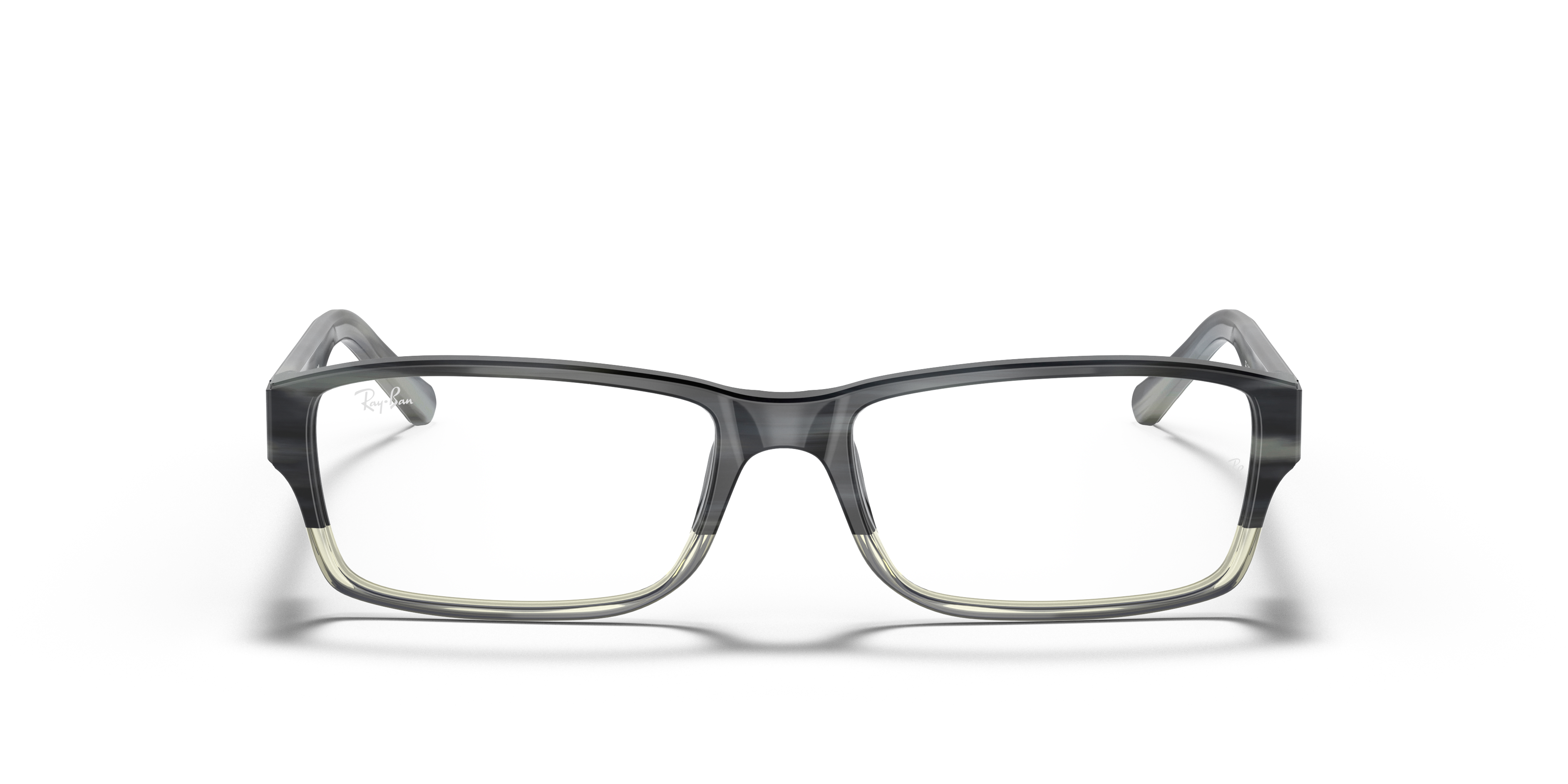 RB5169 Optics