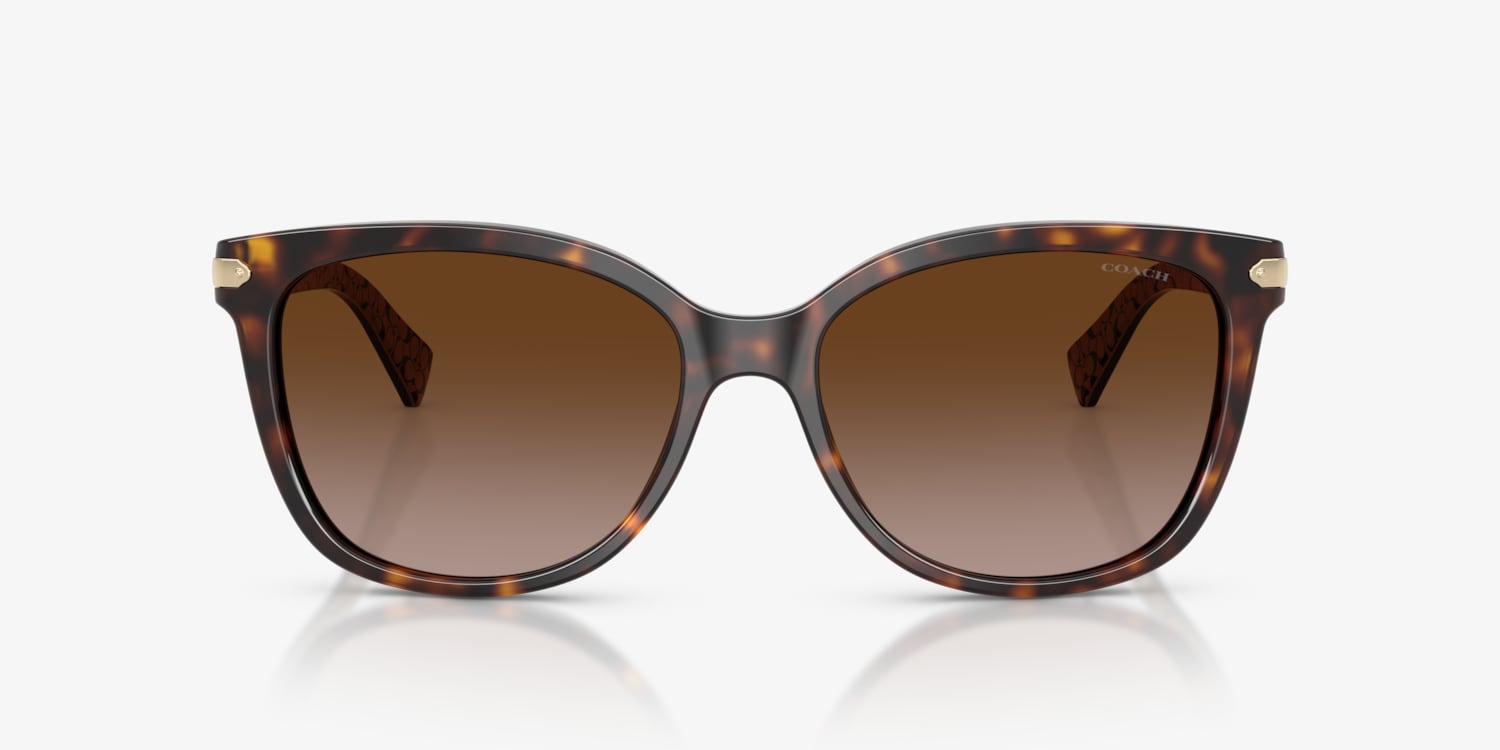 Coach HC8132 L109 Sunglasses | LensCrafters