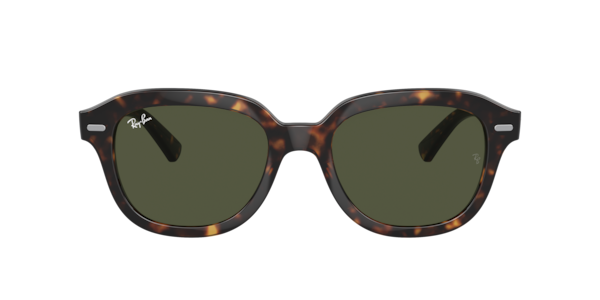 Ray-Ban RB4398 Erik Sunglasses | LensCrafters