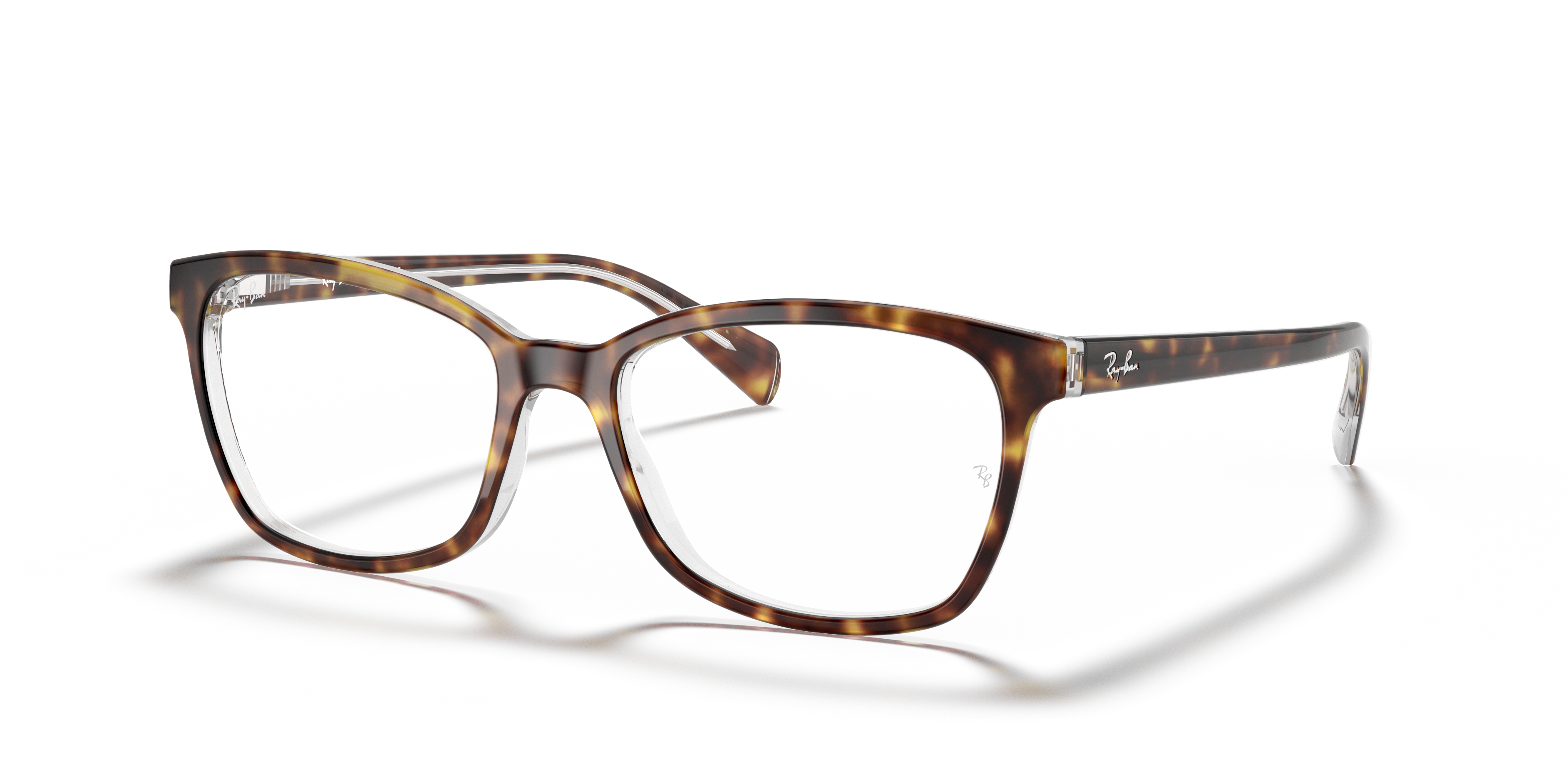 RB5362 Optics