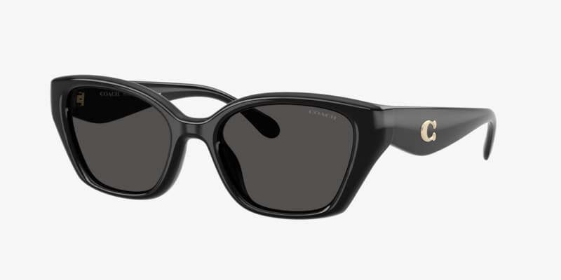 Coach HC8421U CAD31 Sunglasses | LensCrafters