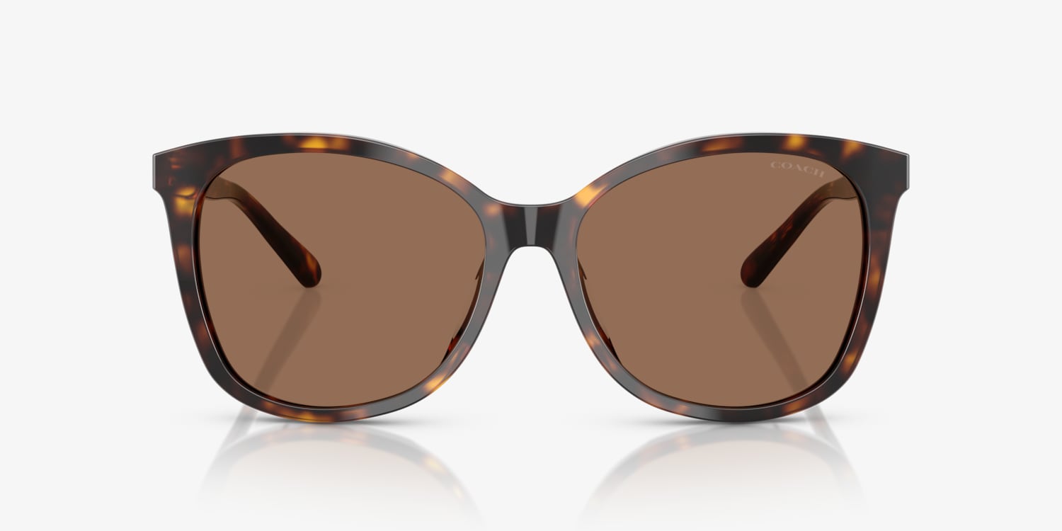 Coach HC8271U L1101 Sunglasses | LensCrafters display picture 1