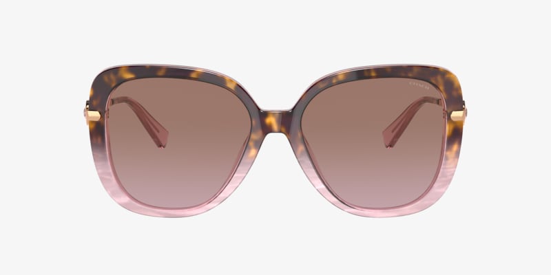 Coach HC8320 C6180 Sunglasses | LensCrafters