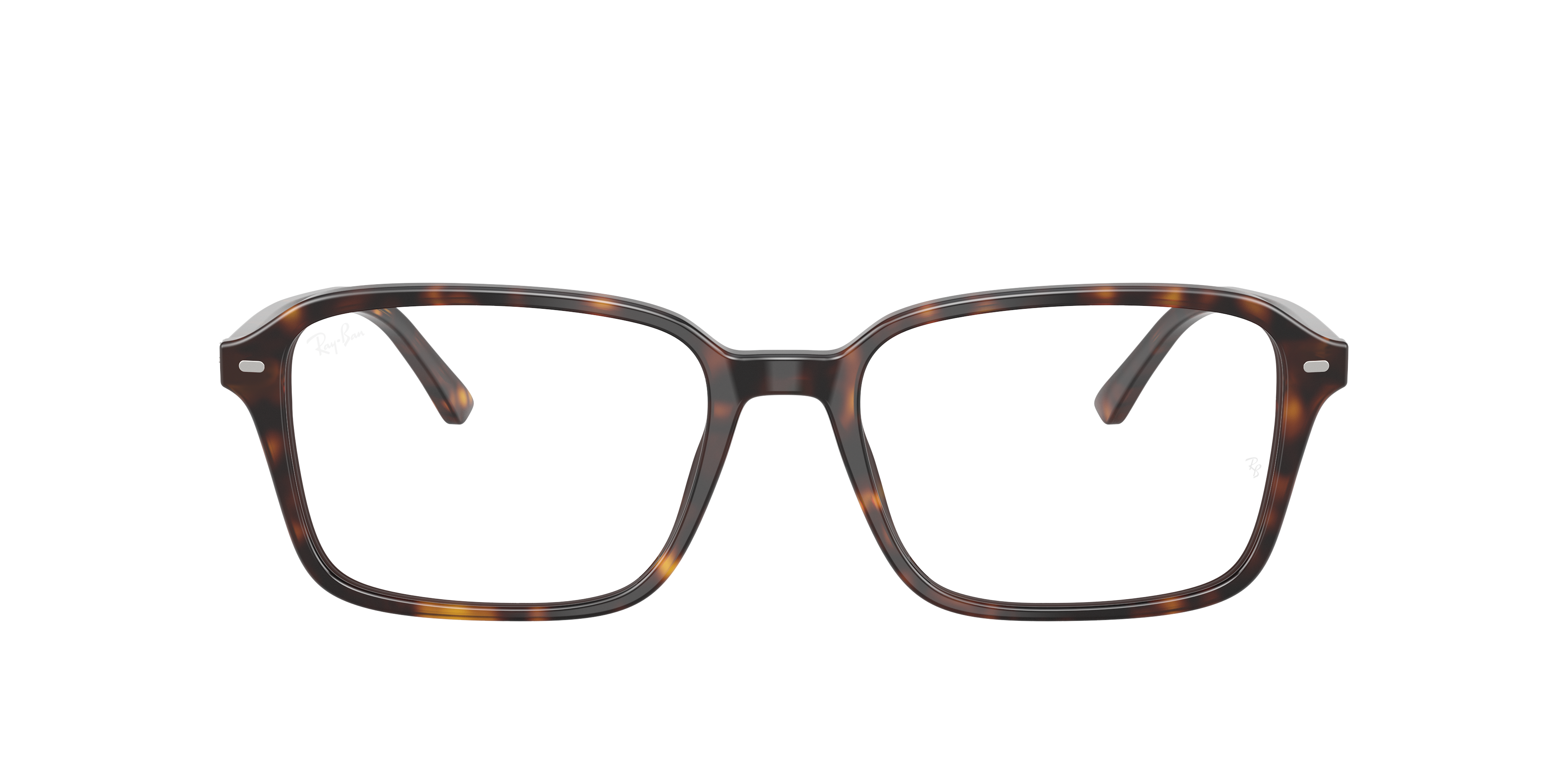 RB5431F Raimond Optics