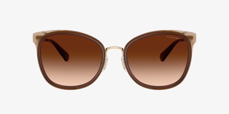 Coach HC8320 C6180 Sunglasses | LensCrafters
