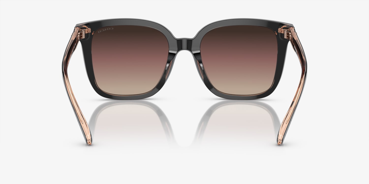Coach HC8381U CL918 Sunglasses | LensCrafters