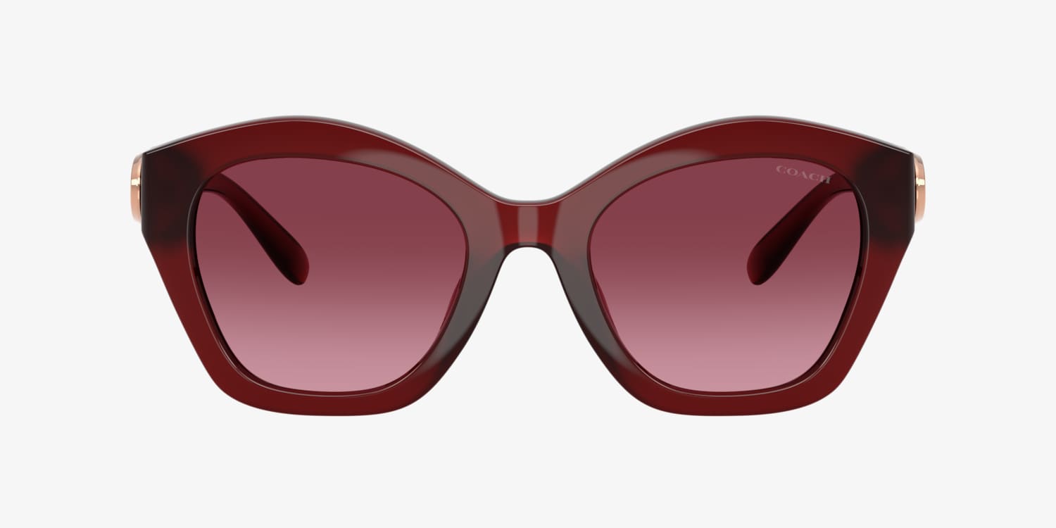 Coach HC8421U CAD31 Sunglasses | LensCrafters