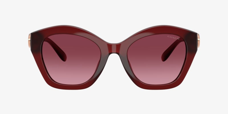 Coach HC8421U CAD31 Sunglasses | LensCrafters