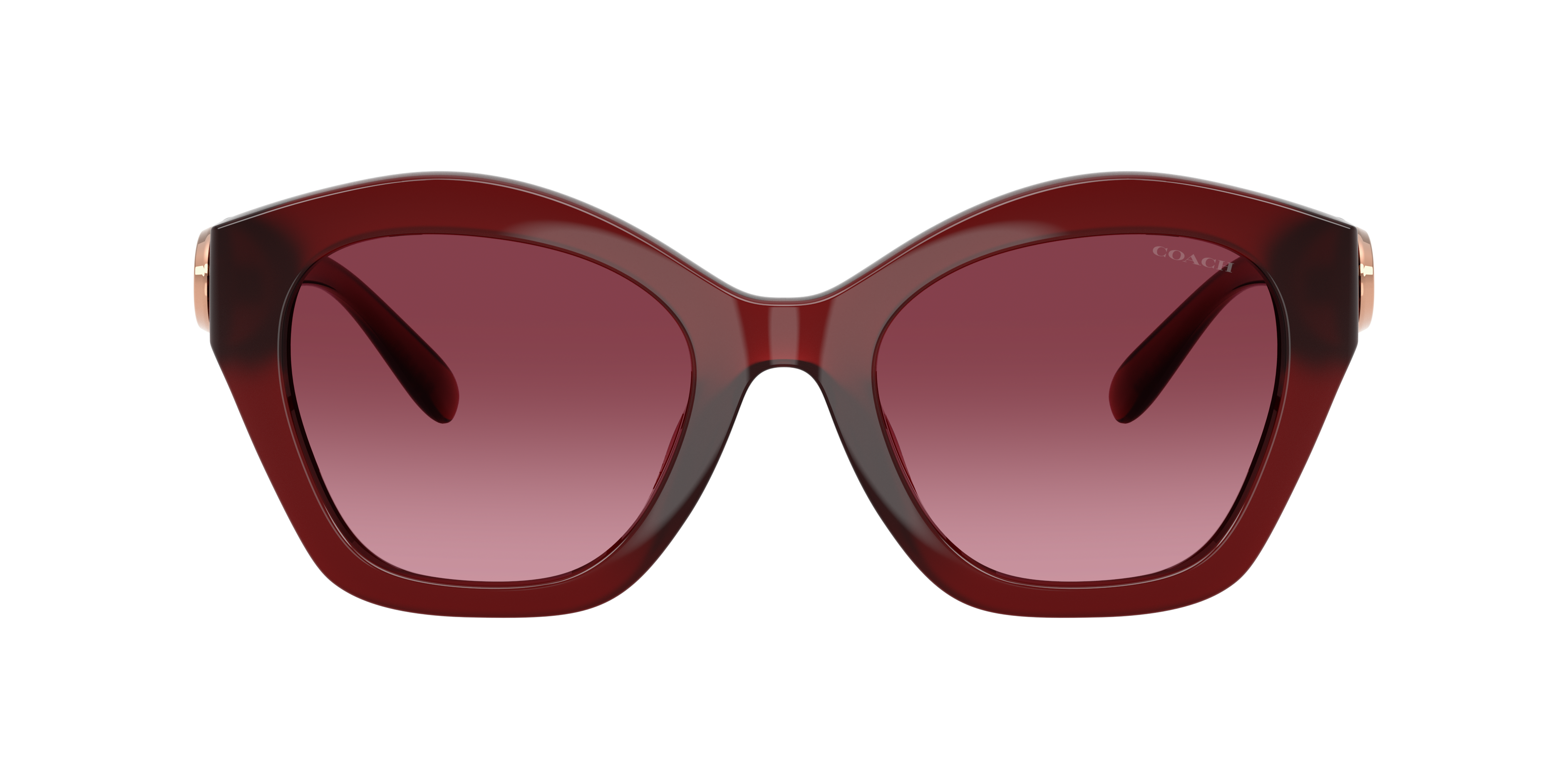 Coach HC8421U CAD31 Sunglasses | LensCrafters