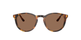 Polo Ralph Lauren PH4110 Sunglasses | LensCrafters