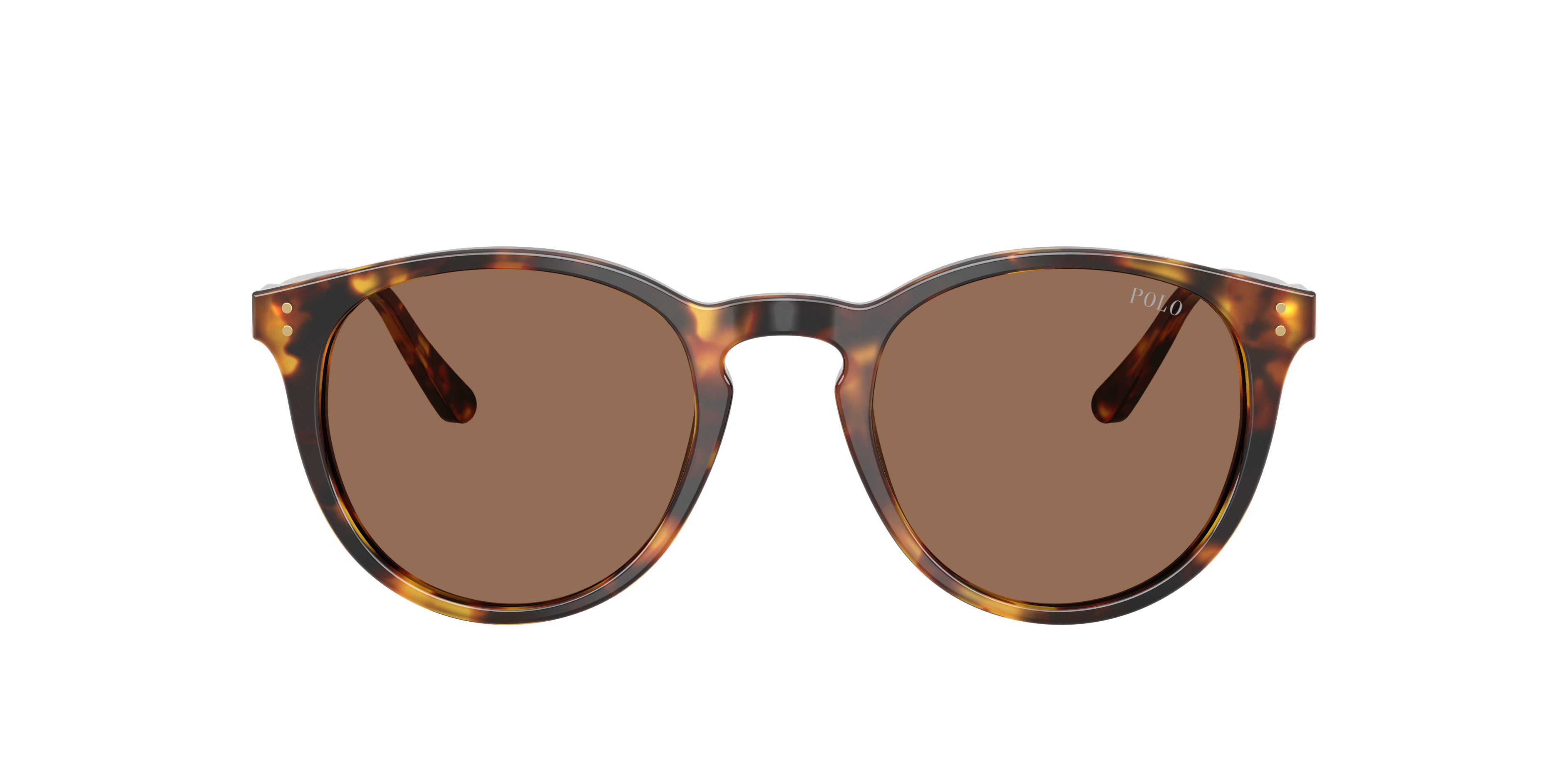 POLO RALPH LAUREN ポロ サングラス PH4110 ラウンド Polo Ralph Lauren PH4110 Sunglasses | LensCrafters
