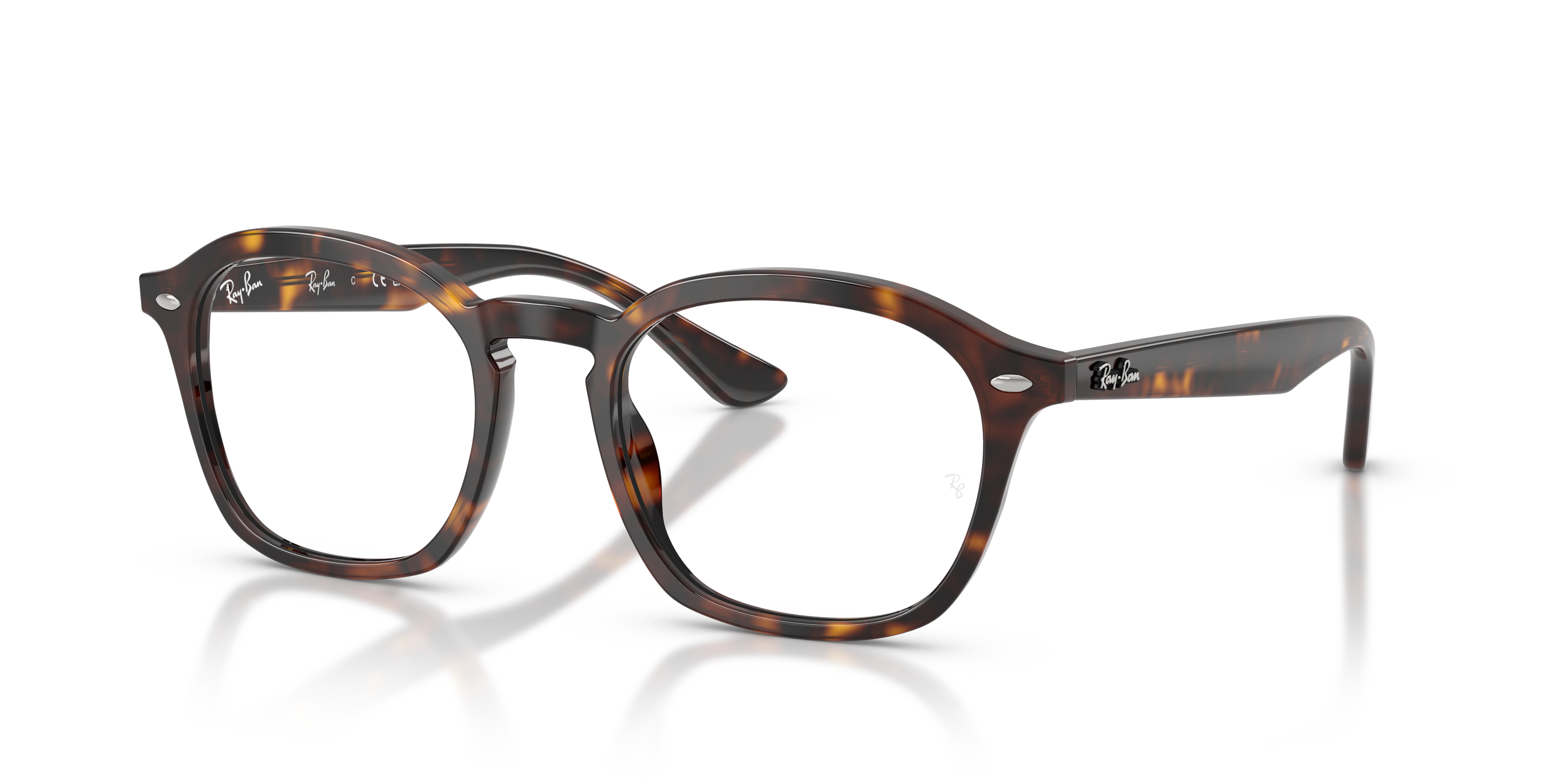 RB5451 Optics