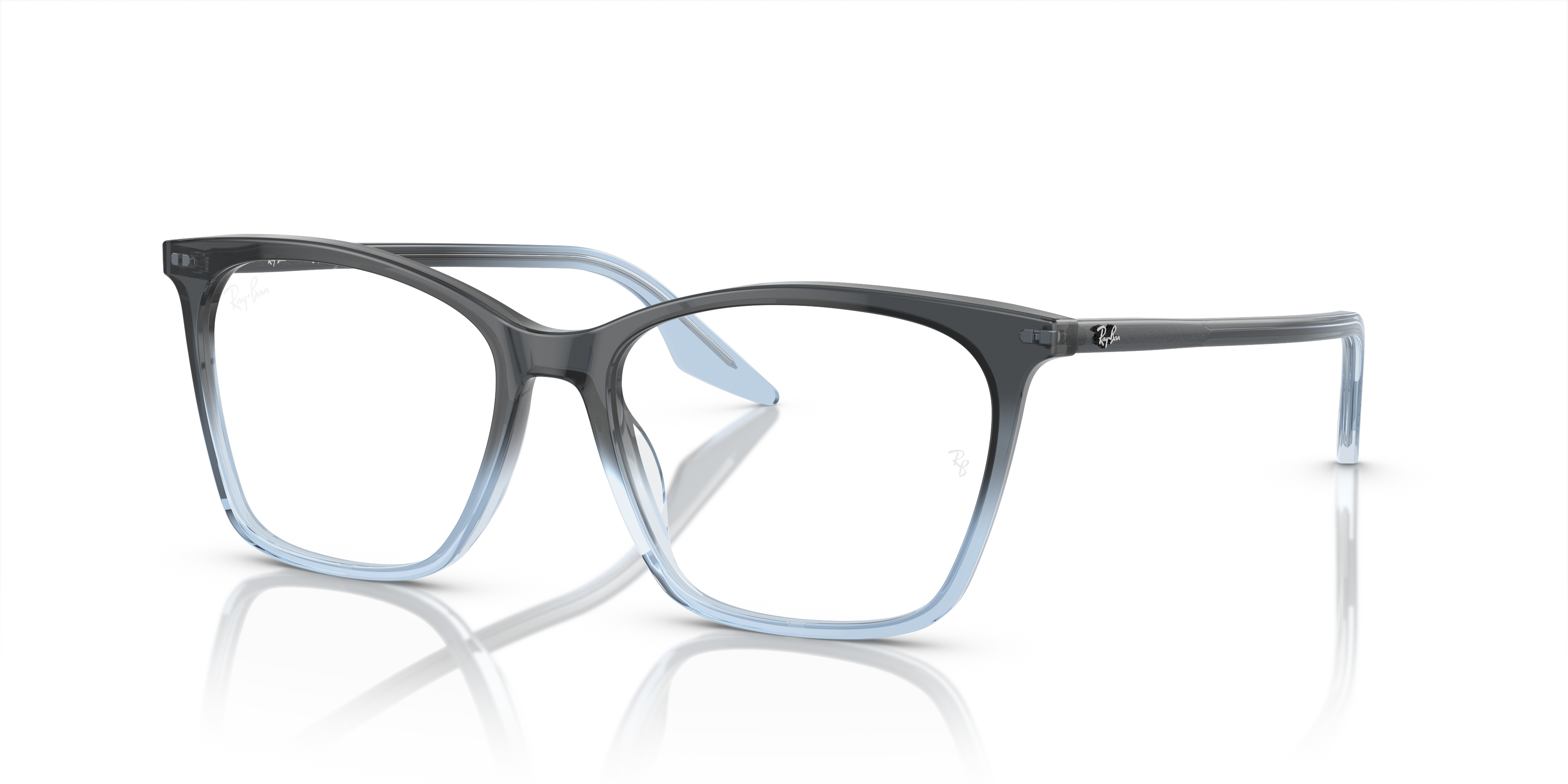 RB5422 Optics