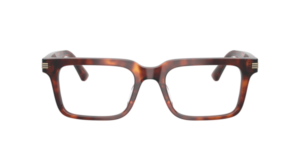 Emporio Armani Men's Eyeglasses, EA3293U - Shiny Havana Red