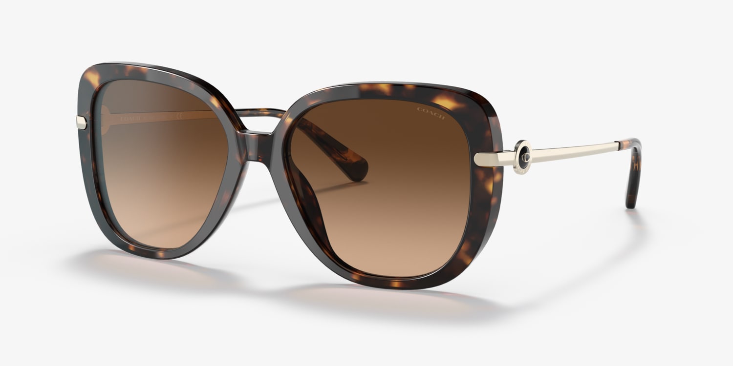 Coach HC8320 C6180 Sunglasses | LensCrafters
