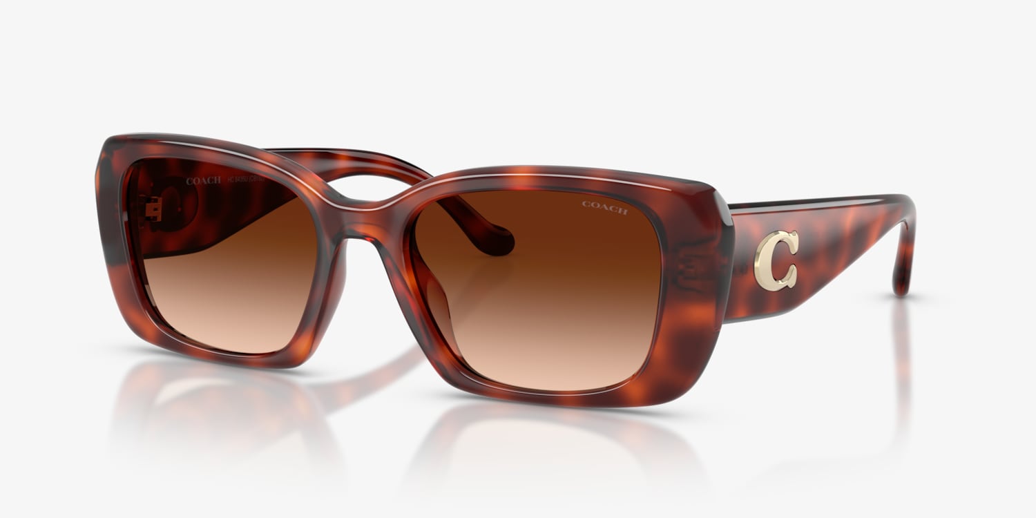Coach HC8435U CBY82 Sunglasses | LensCrafters